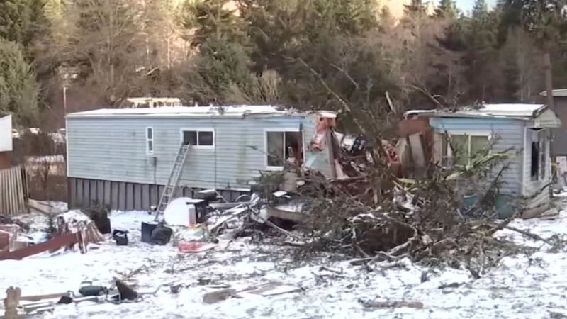 Sleeping girl killed by falling tree