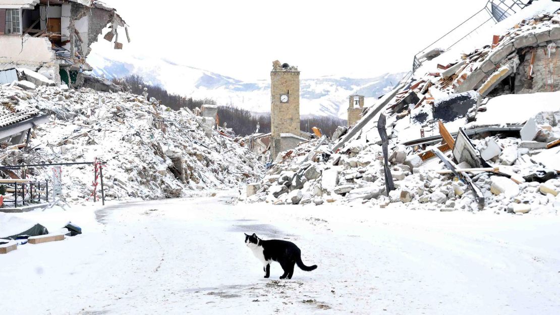 Many people  evacuated the town of Amatrice after it was devastated by earthquakes last year.