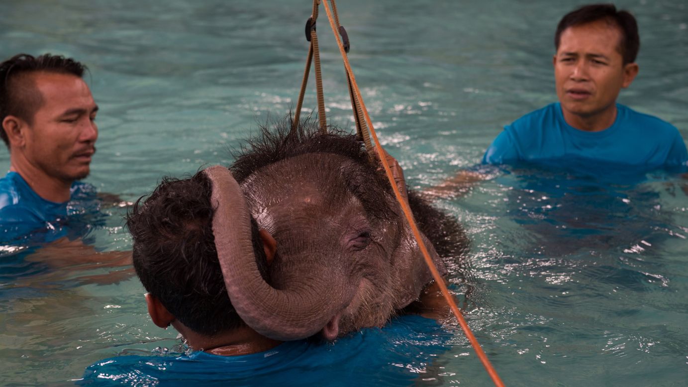 A 6-month-old elephant named Clear Sky rests her head on a man's shoulders during a hydrotherapy session in Thailand's Chonburi Province on Thursday, January 5. She lost part of her left foot in an animal trap, and the hydrotherapy is strengthening her leg muscles so she can learn to walk again.