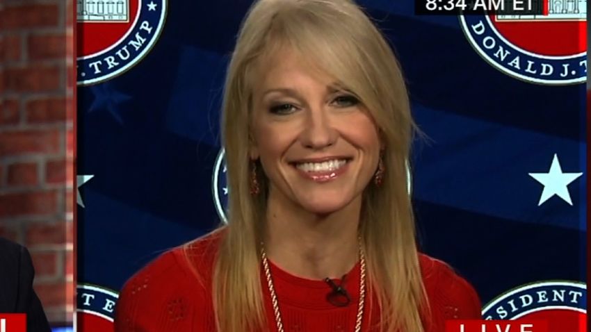 Senior adviser Kellyanne Conway discusses the US-Mexico wall