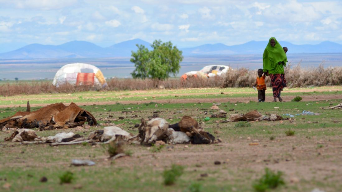 It's not just conflict forcing people to move. Sudden-onset natural disasters such as floods and storms caused more than 1 million displacements in 2015. Slow-onset causes such as drought, however were not included in the report. Pictured: A family walks through the drought-affected area of Barisle village in Ethiopia in April 2016.<br />