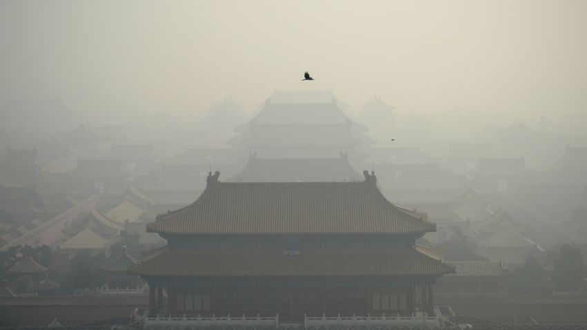 A bird flies in heavy smog over the Forbidden City in Beijing on November 4, 2016. / AFP / WANG ZHAO        (Photo credit should read WANG ZHAO/AFP/Getty Images)