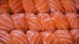 salmon sushi STOCK