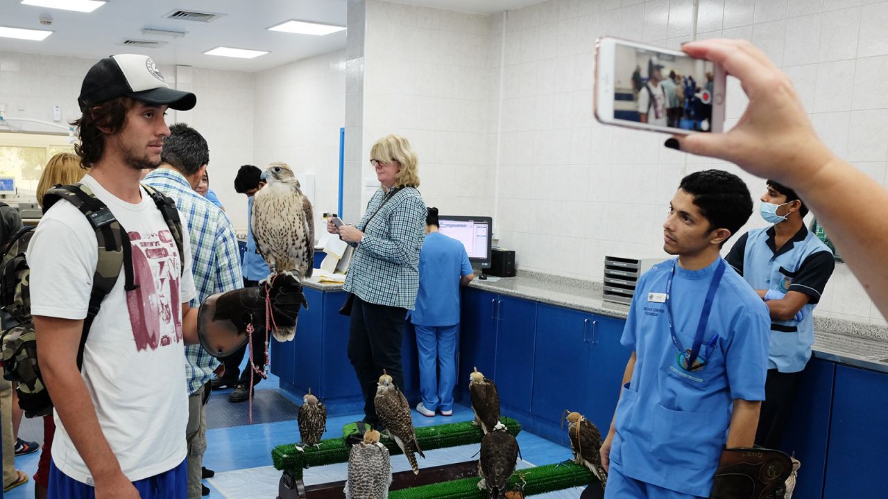 <strong>Hospital tour: </strong>The hospital throws open its doors to twice-daily tours (except Fridays). The award-winning tours offer a fascinating glimpse into the hospital's working life and offer close-up experiences with beautiful birds.