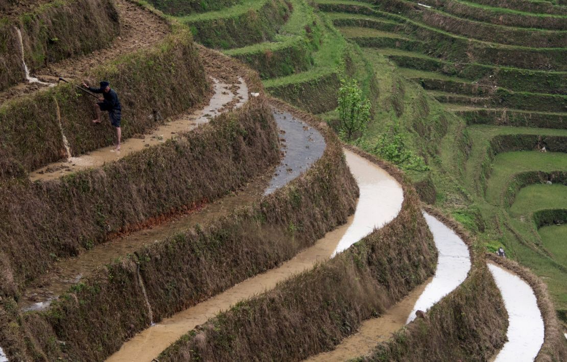 This photo taken on April 11, 2016 shows a farmer climbing down terraced rice fields near the village of Tiantou in Longsheng county, in southern China's Guangxi.