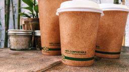 compostable coffee cups made from plants