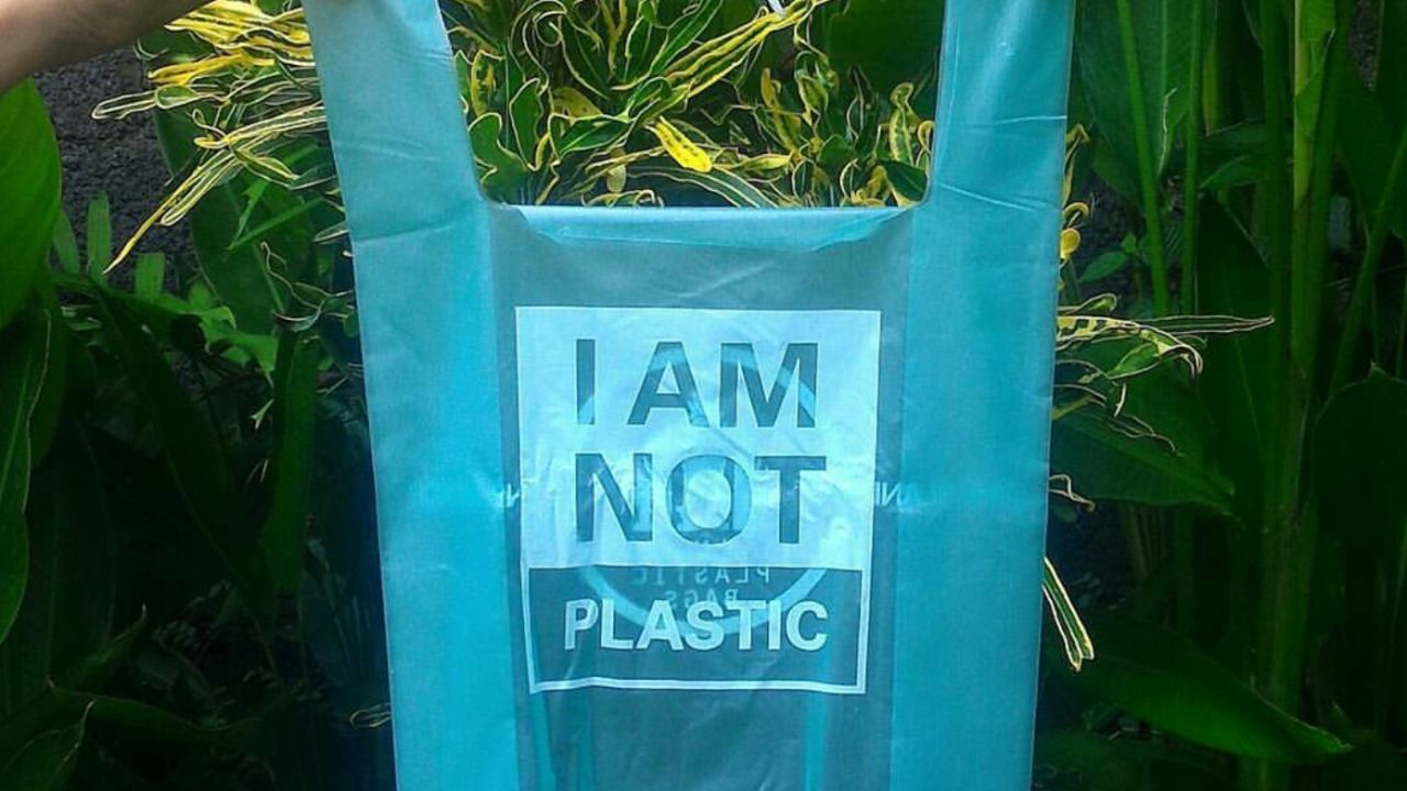 Cassava plastic bag from Avani Eco. 