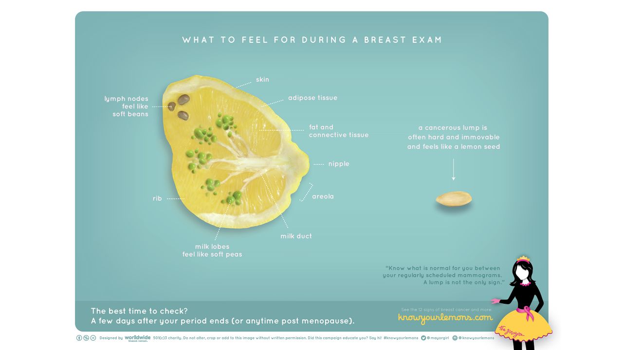 To raise awareness about breast cancer, a modified lemon slice illustrates breast anatomy.