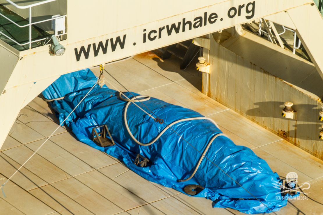 Sea Shepherd says it caught a Japanese vessel covering a whale carcass in a blue tarp.