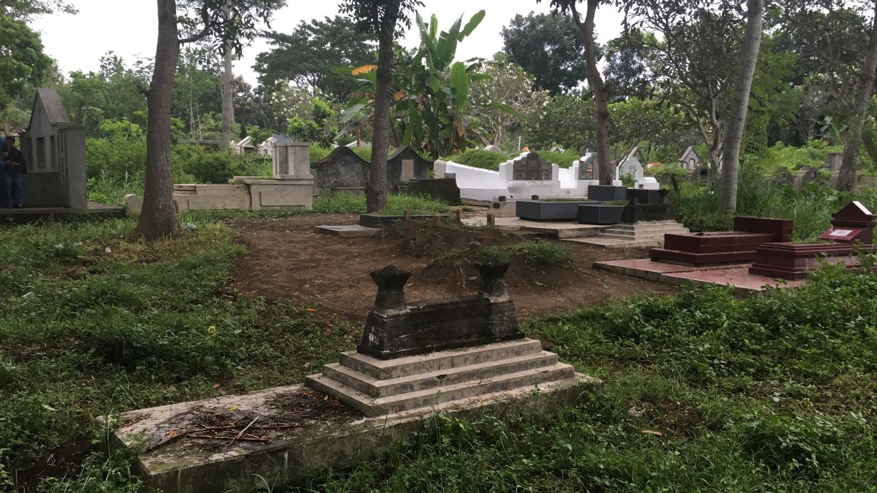 Who Just Issued A Grave Warning About Chikungunya Dont Ignore This - 9y9yb93
