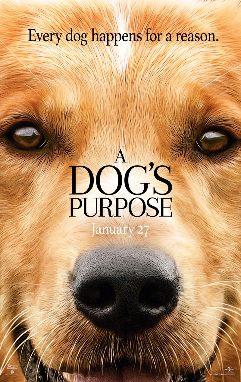 a dogs purpose drowning