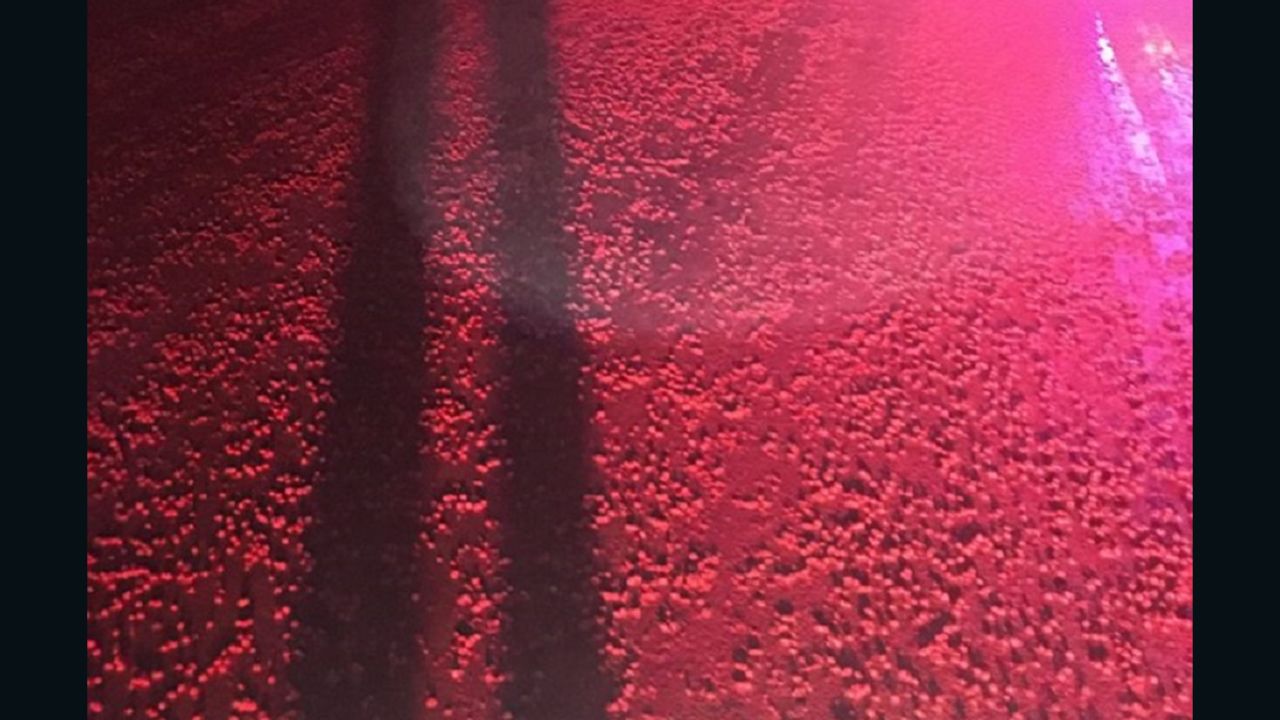 Spilled red Skittles litter the road in rural Wisconsin.