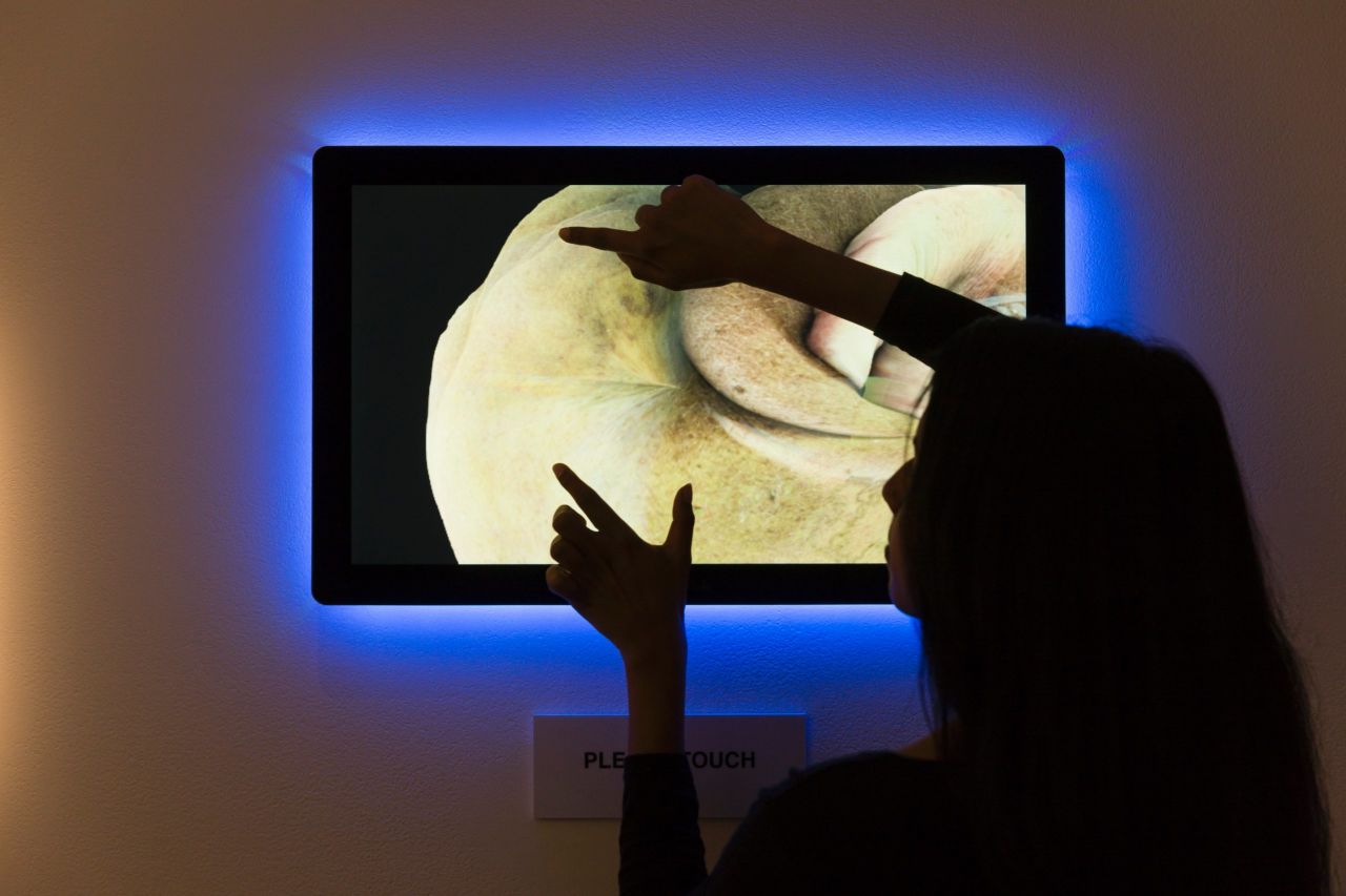 This interactive artwork installation is "Bruise" by Alison Bennett. Currently on display at the RMIT gallery, it invites users to investigate an image of a bruise by touching the display screen. 