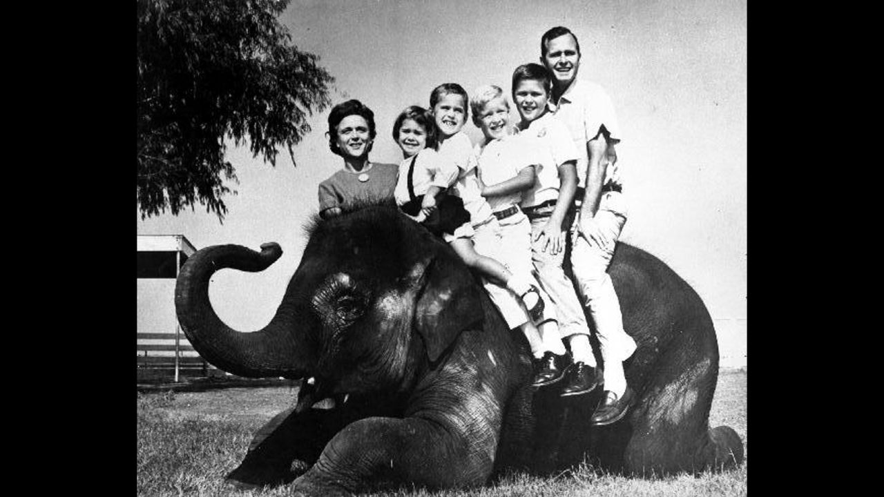 The Bush family poses on an elephant during the 1964 Senate campaign. Between Bush and her husband, from left, are children Dorothy, Marvin, Neil and Jeb. Her son George was away at school.