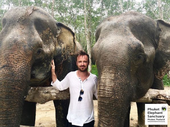 <strong>Phuket Elephant Sanctuary: </strong>Actor Aaron Paul, better known as Jesse Pinkman from TV series "Breaking Bad," visited the Phuket Elephant Sanctuary last November. The sanctuary now has five elephants, three of which were rescued in December. 