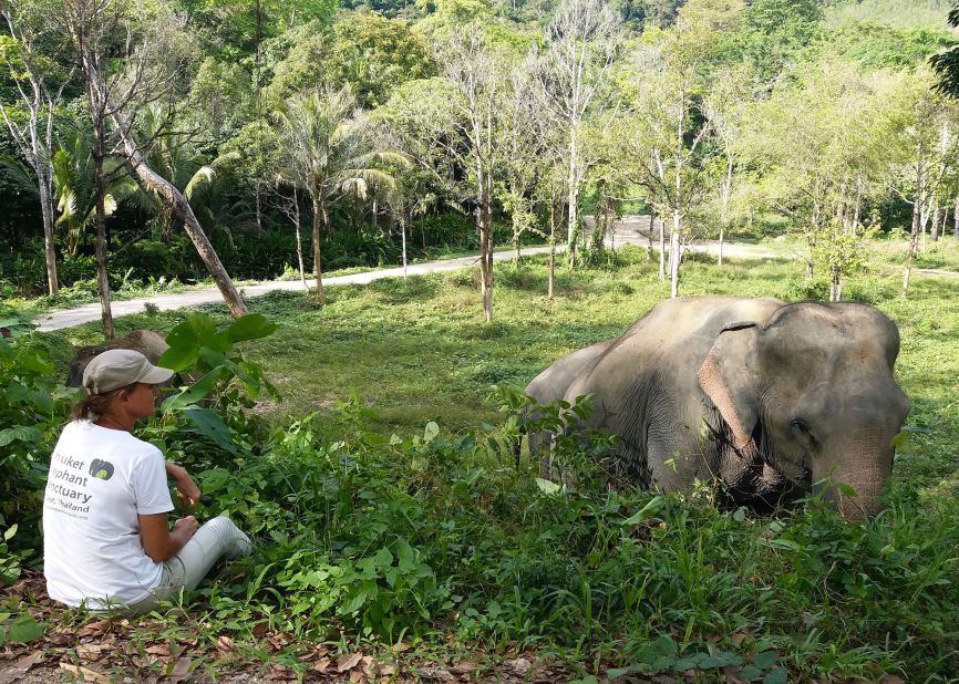 <strong>Resilient animals:</strong> "What amazes me is that we have taken in these elephants, some in their 60s, which have spent their entire life in cruel servitude to man, and they have recovered so quickly," says Phuket Elephant Sanctuary co-founder Louise Rogerson, pictured.  