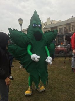 Hempy the weed mascot