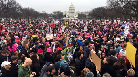 Protesters gather on the National Mall near the US Capitol. 