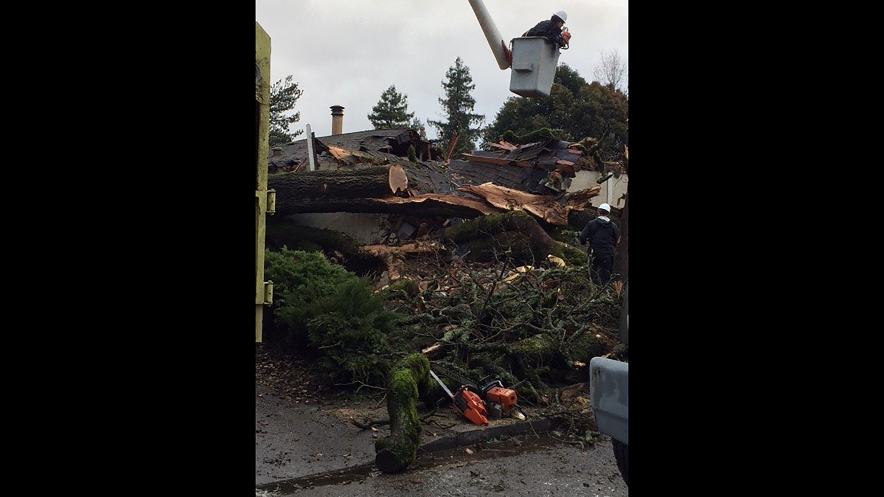 Washington man gets caught in a 'tumbleweed tornado': video