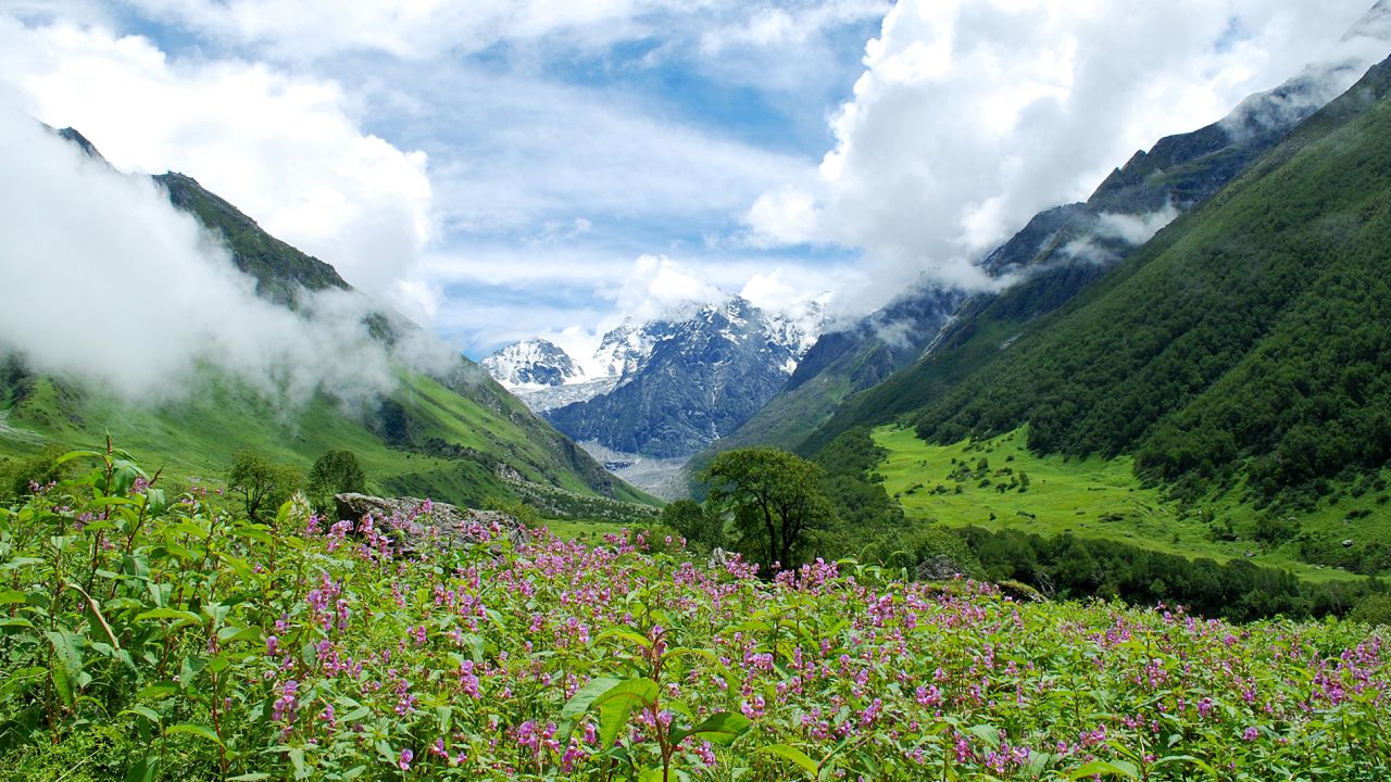 <strong>Valley of Flowers National Park, India: </strong>The valleys in the West Himalayas fill with alpine flowers that astound for their sheer numbers and the variety of species. In Hindu mythology, it's believed to be a place for the gods. 