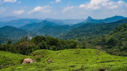 Beautiful India Munnar Flickr Naeem Mayet 26090478693