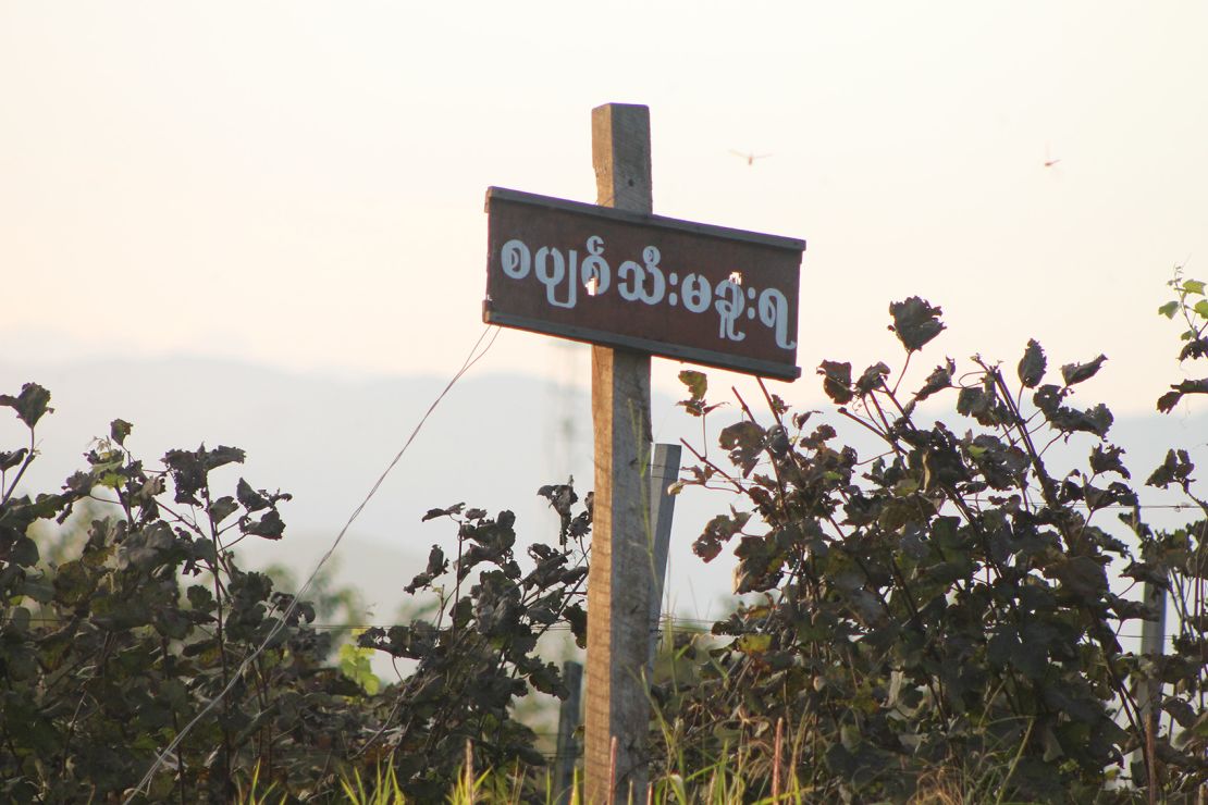 Aythaya Wine Estate is one of the only two wineries in Myanmar. 