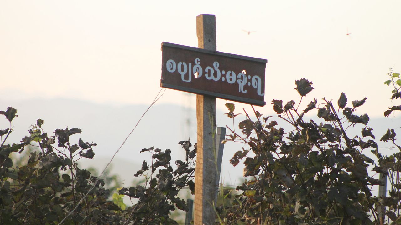 Aythaya Wine Estate is one of the only two wineries in Myanmar. 