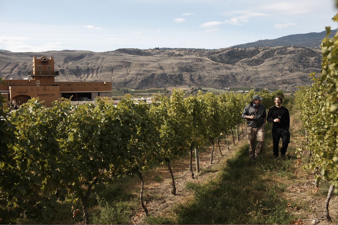 <strong>Okanagan Wine Region, Canada: </strong>Okanagan, a four-hour drive from Vancouver, is a great place to do a wine tasting bike tour. It has a 6.2-mile trail through vineyards and a former Gold Rush town.