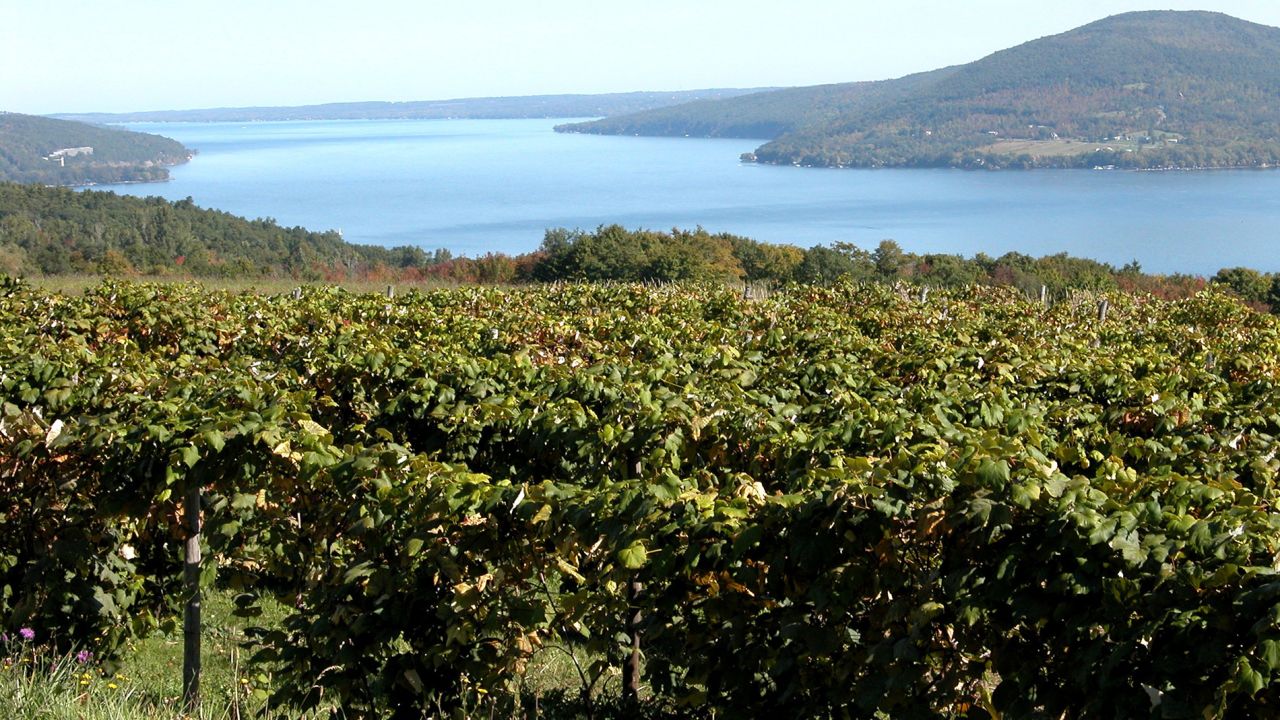 <strong>Finger Lakes Region, New York:</strong> The Finger Lakes Region of New York State has a pretty landscape and four wine trails with more than 100 wineries, known for their popular Rieslings. 