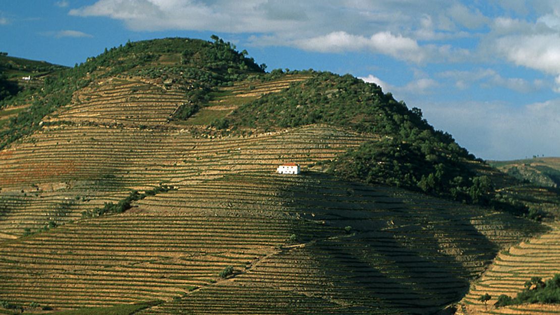 Douro might be the world's most beautiful wine regions.