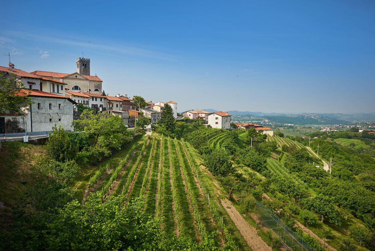 <strong>Brda, Slovenia:</strong> Described as a "mini Tuscany," this Slovenian town bordering Italy is full of family-run vineyards. 