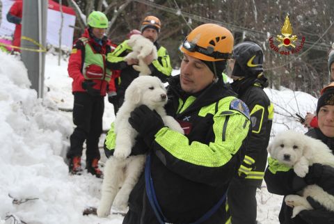 Emergency crew members carry three puppies that were dug out from under the snow covering Hotel Rigopiano on Monday, January 23. Rescuers cheered the discovery of the dogs, whose survival brings hope for those people who are still missing.
