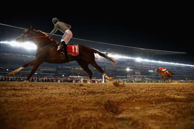 Former Kentucky Derby champion Chrome won the 2016 Dubai World Cup.