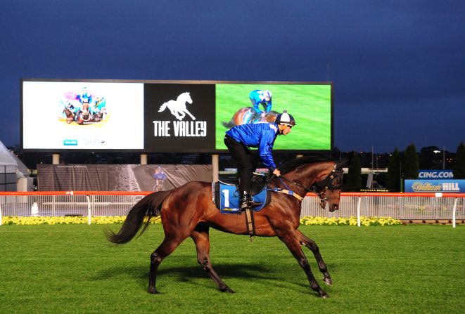 Australia's Winx won all eight of her starts in 2016.  She is riding a 13-race winning streak going back to May 2015.  <br />