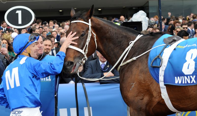 Arrogate named Longines World s Best Racehorse 2016 CNN