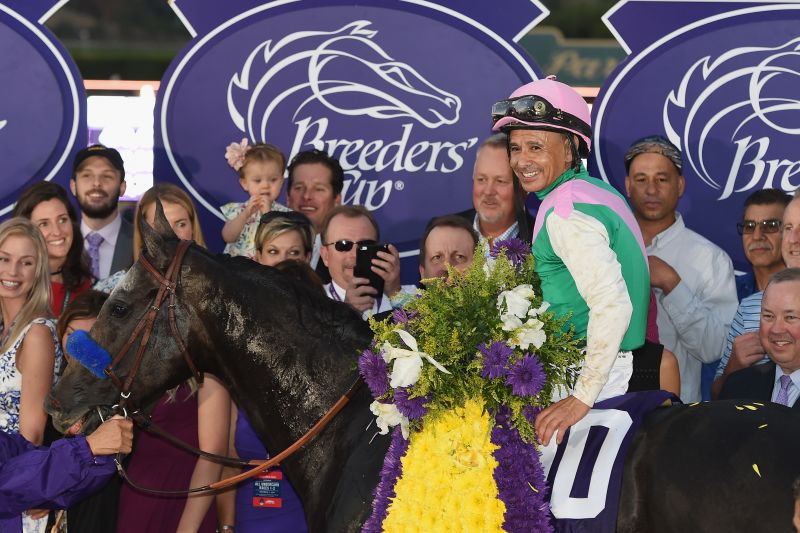 Arrogate named Longines World s Best Racehorse 2016 CNN