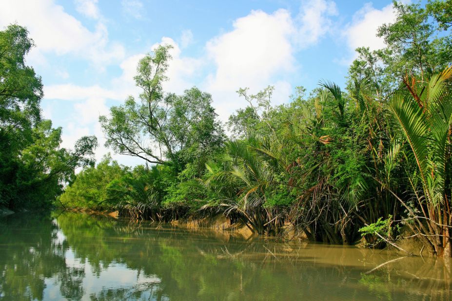 A UNESCO World Heritage Site, the Sundarbans spreads across areas of West Bengal and Bangladesh and is one of the largest mangrove forests in the world. 