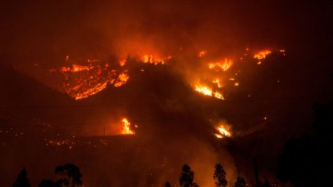 Forest fires consume parts of the community of Vichuquen in Chile's Maule Region.