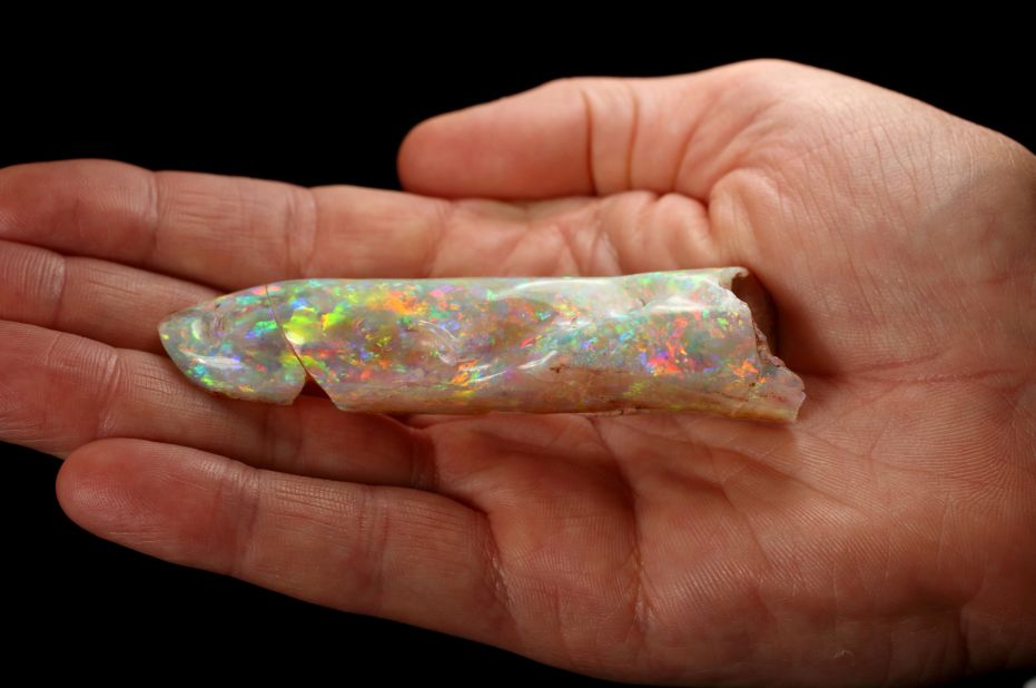 The South Australian Museum has one of the world's largest opal collections, including this stone, called the Candle of Life.  An opalized ancient cuttlefish fossil, this opal is similar to the Virgin Rainbow, but is not pure crystal opal.