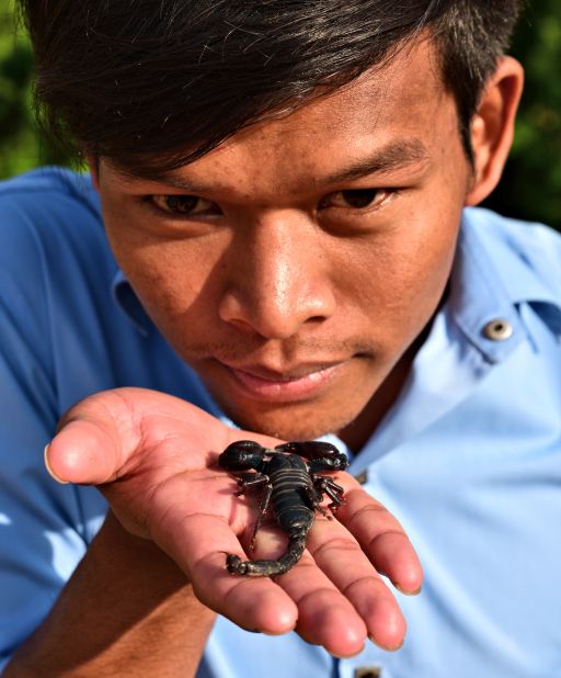 <strong>Worse than a tarantula?</strong> Guide Yin gets up close with a dead scorpion.