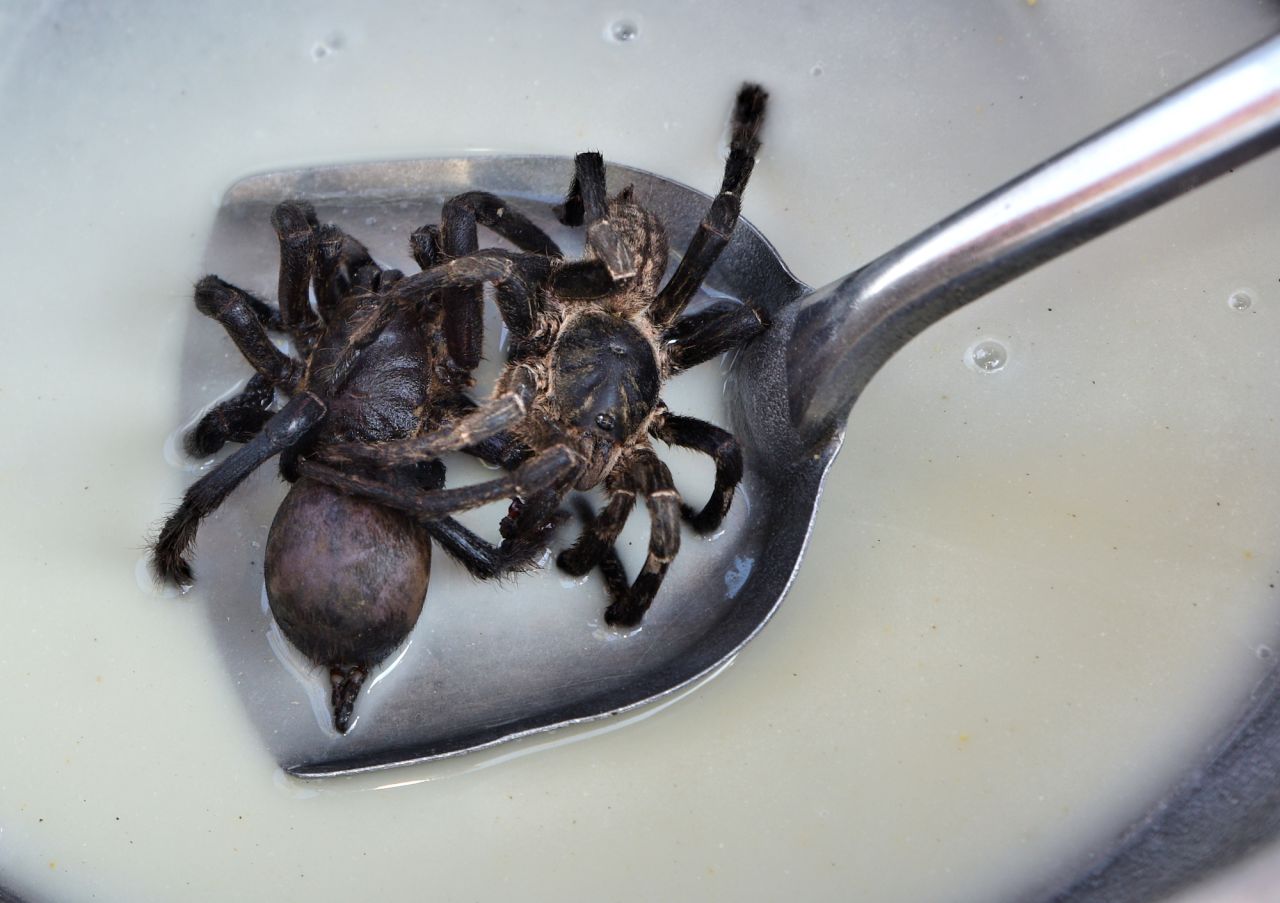The tarantulas are dipped in a water-based mixture of seasonings before hitting the wok. 