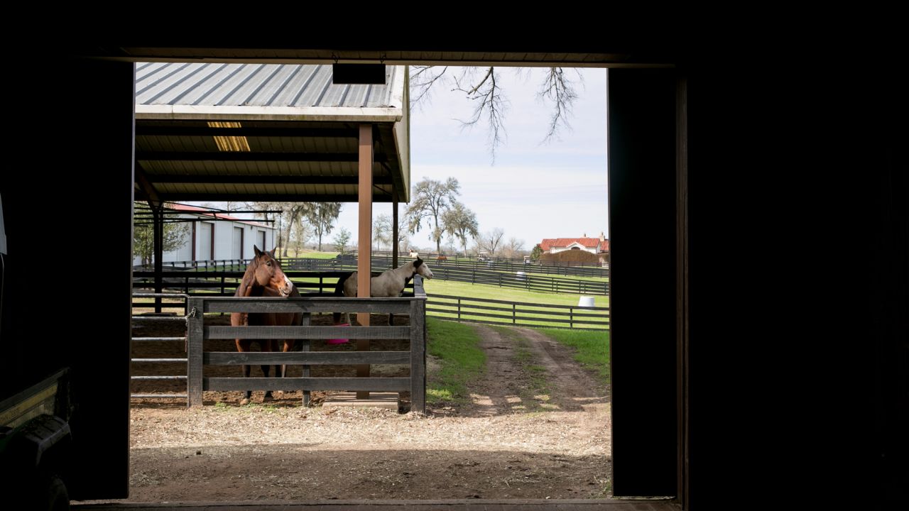 About 11 miles northeast of Brenham, the Inn at Dos Brisas provides rustic luxury to overnight guests. The resort is home to an impressive equestrian facility.