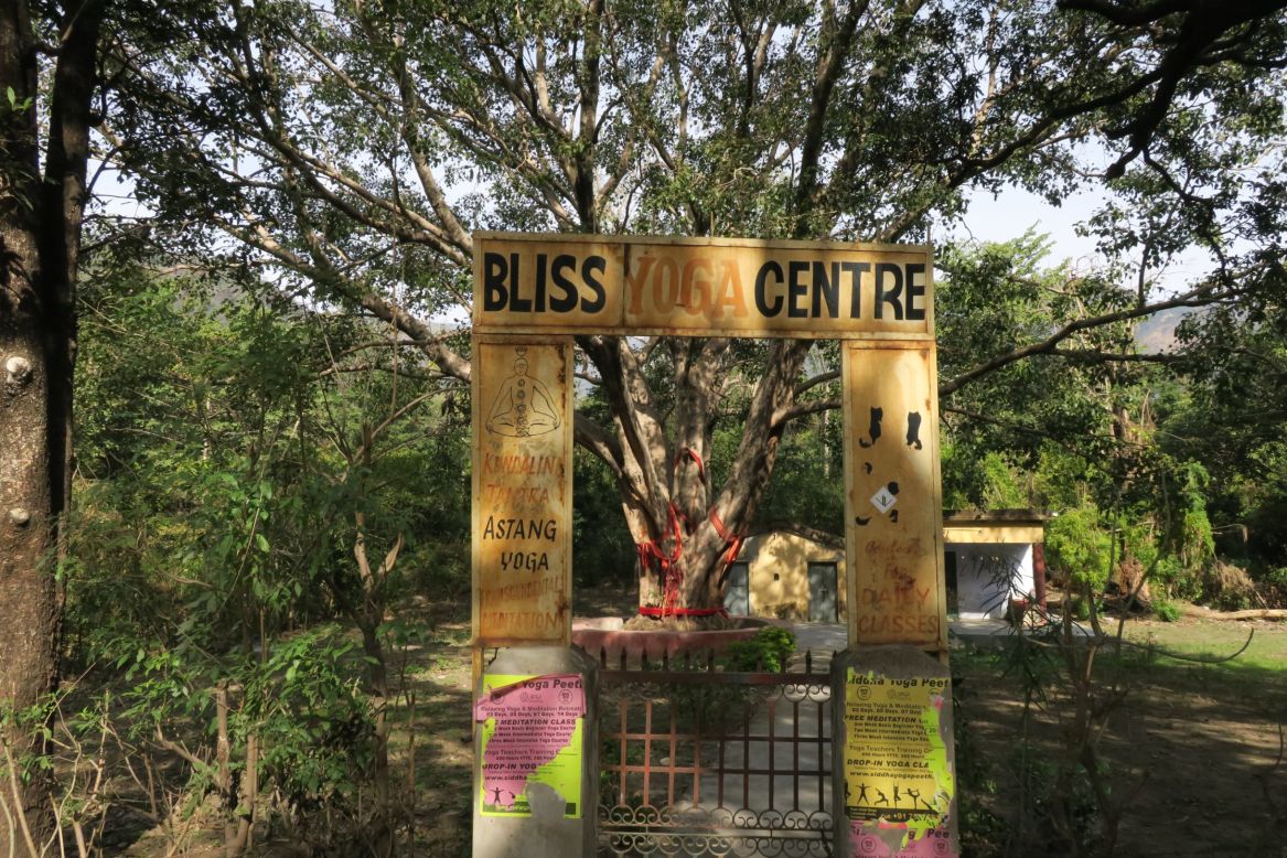 <strong>Yoga: </strong>Rishikesh boasts one of the largest clusters of yoga centers in the world. This yoga school features a giant tree wrapped in red rope to signify its holy status. 