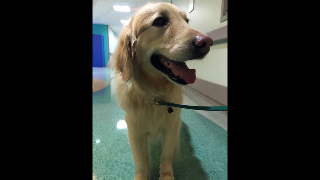 Casper has unconditional love for the patients at Children's Healthcare of Atlanta.