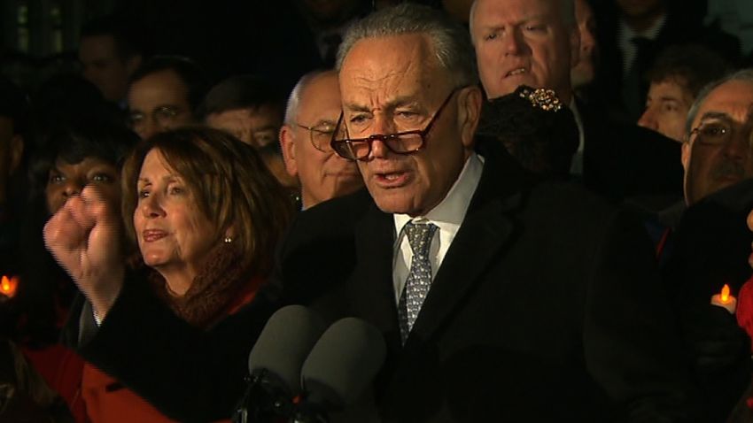 chuck schumer protest