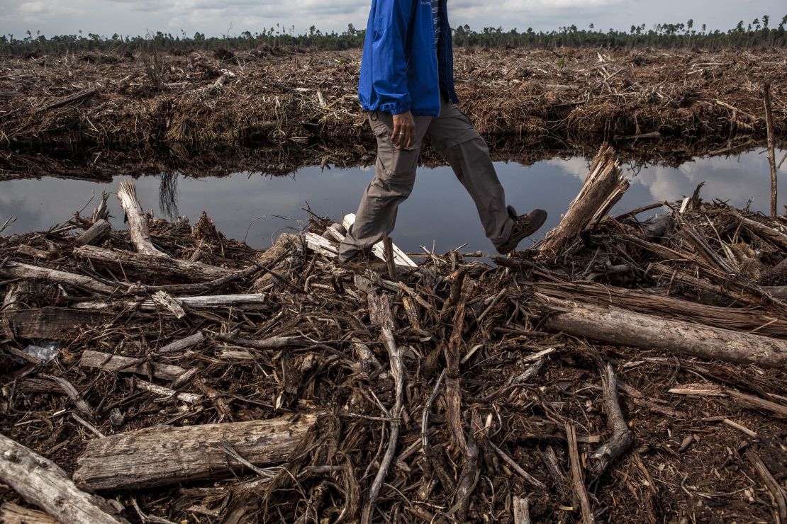 Deforestation in Indonesia, one of the countries with the highest deforestation rates.