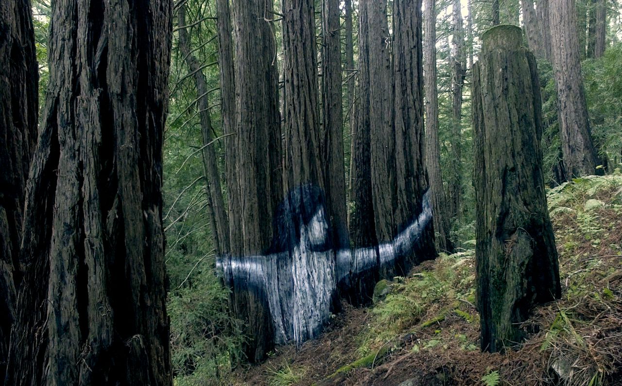 'Puliki' was painted with natural non-toxic chalk, with water to spray on the burnt bark.