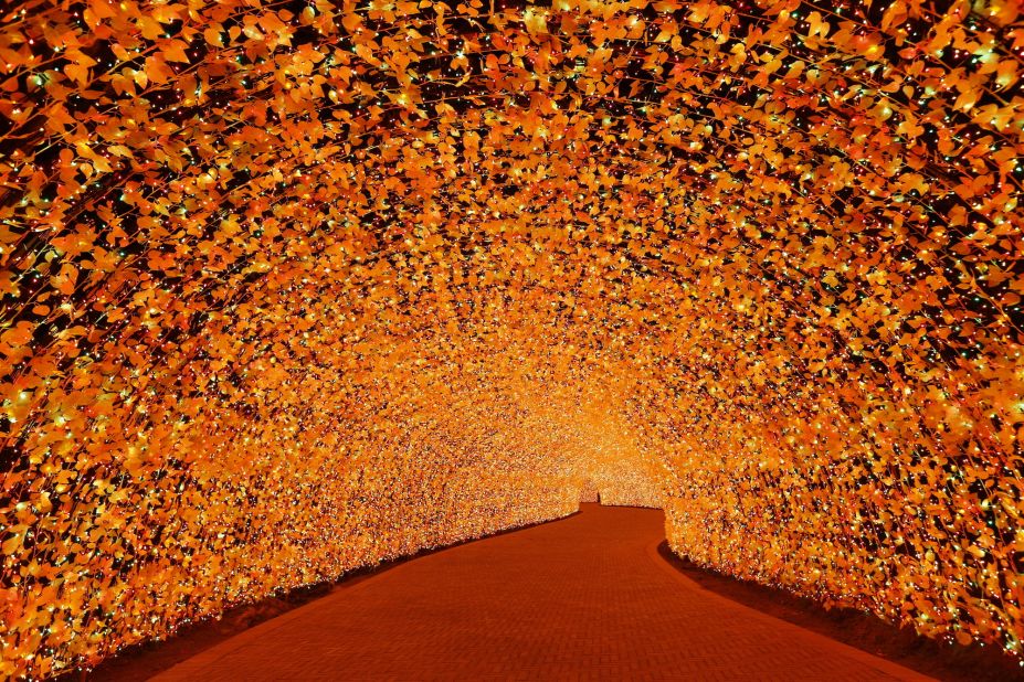 <strong>What's not to like?: </strong>"We try to show the beauty of autumn 'momiji' leaves," says Yasuyo Otani, Nagashima Resort spokeswoman. "It shows traditional Japanese beauty and it's hard to find anyone who dislikes momiji in Japan." 