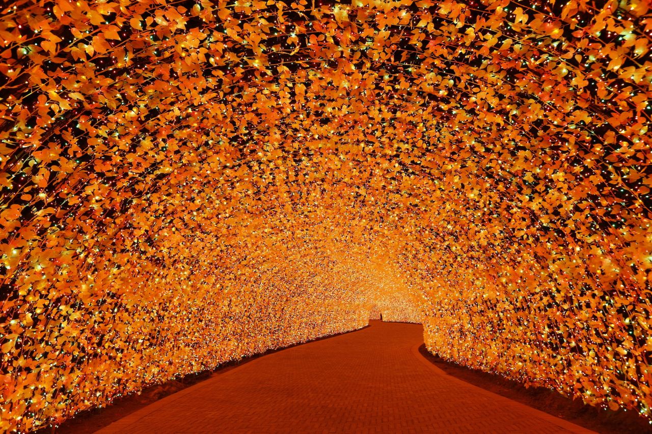 <strong>What's not to like?: </strong>"We try to show the beauty of autumn 'momiji' leaves," says Yasuyo Otani, Nagashima Resort spokeswoman. "It shows traditional Japanese beauty and it's hard to find anyone who dislikes momiji in Japan." 