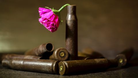 rose and bullets